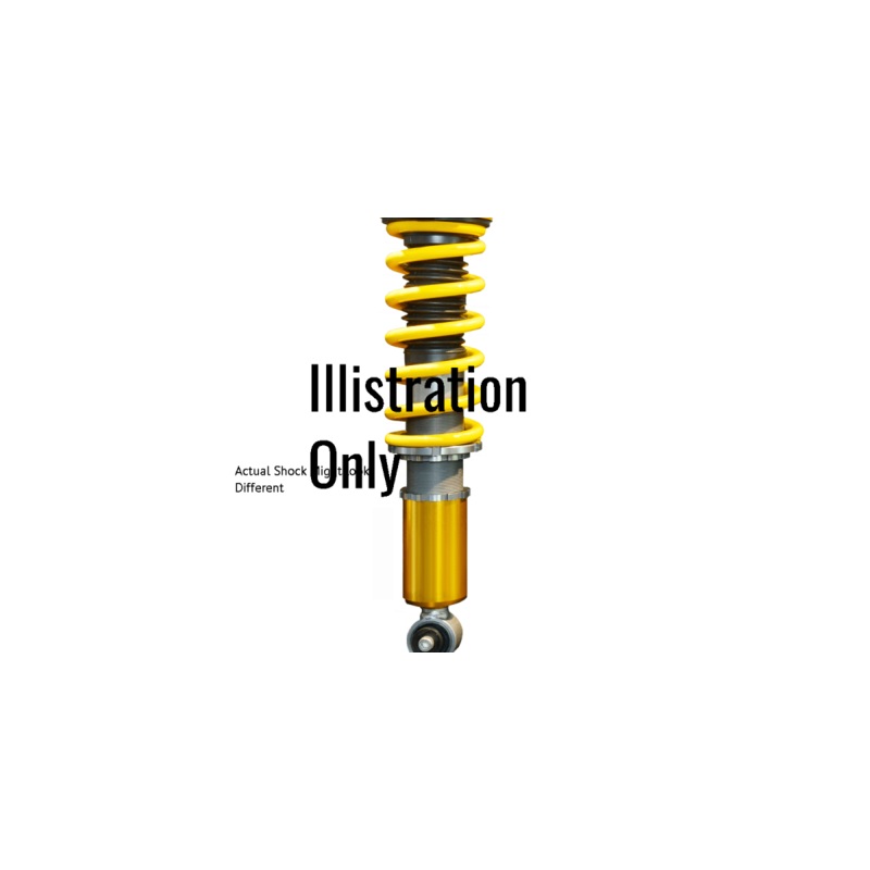 Shock Front Nissan Qashqai 2 2014> (MONROE)(D0049)(SET)