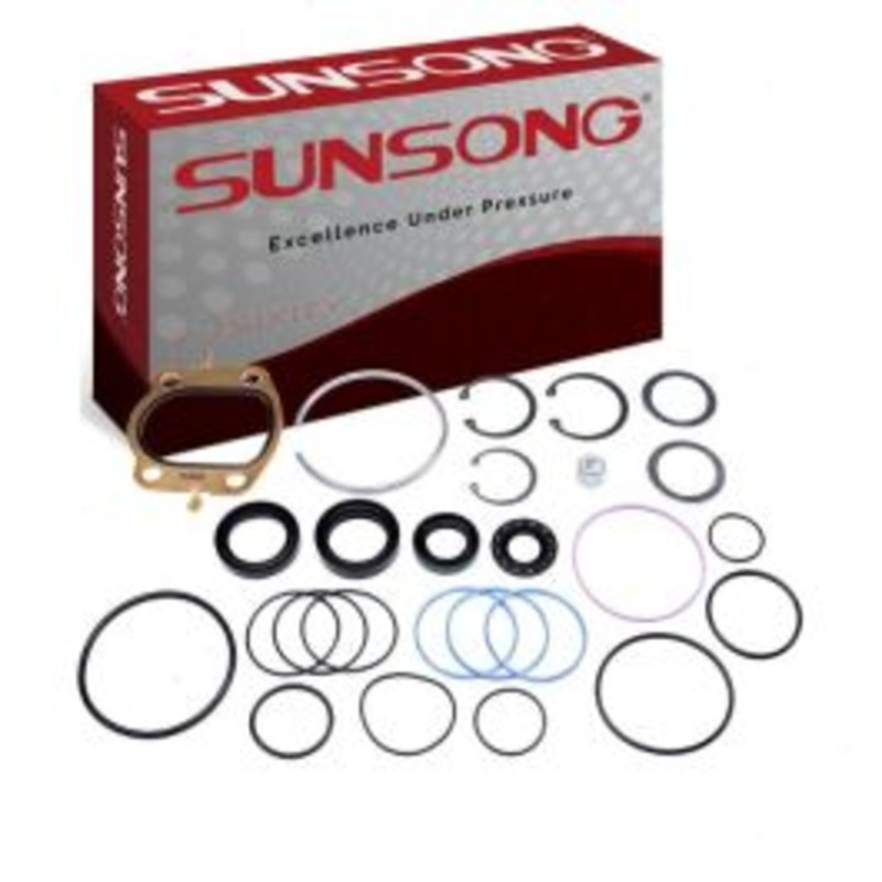 Sunsong Steering Gear Seal Kit for 1973-1975 Buick Apollo