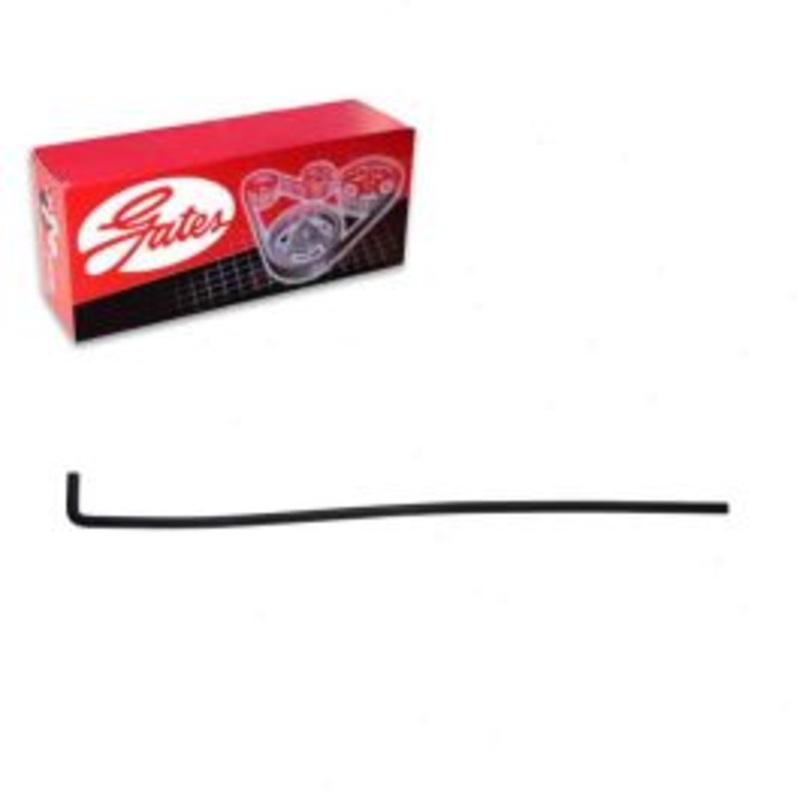 Gates Heater To Thermostat HVAC Heater Hose for 1995-1996 Dodge B1500 3.9L 5.2L V6 V8