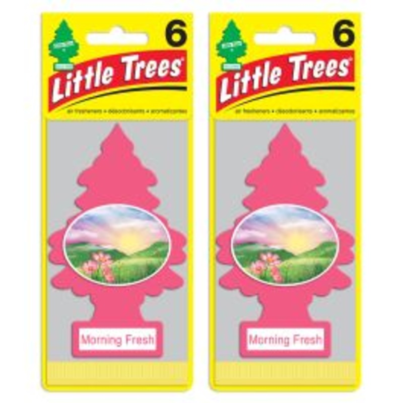 Little Trees Morning Fresh Air Freshener for Car and Home - 12 pack
