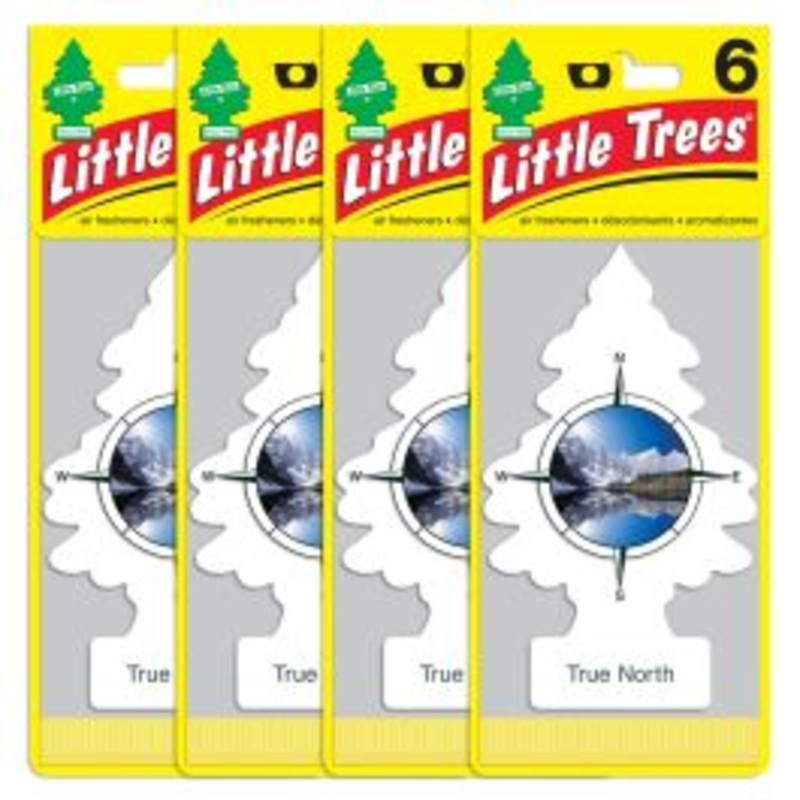 Little Trees True North Air Freshener for Car and Home - 24 pack